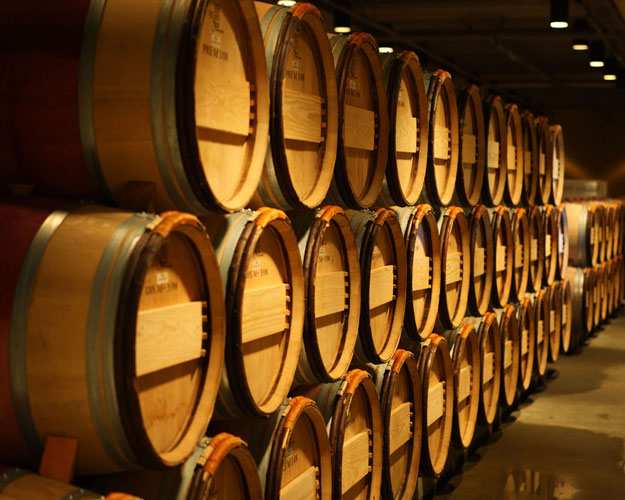 Drojdii, bacterii malo-lactice pentru vin